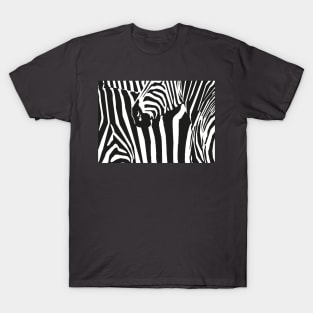 Zebra T-Shirt